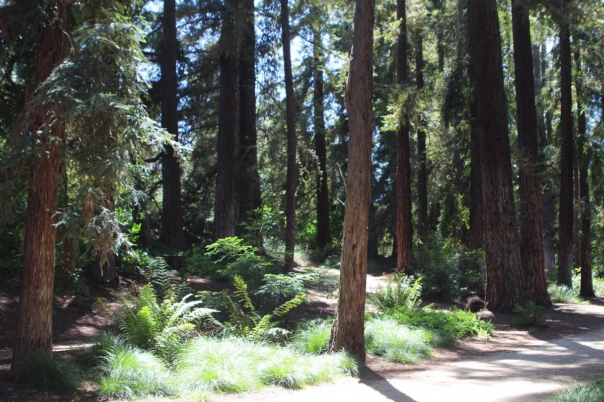 Davis Campus of the University of California
