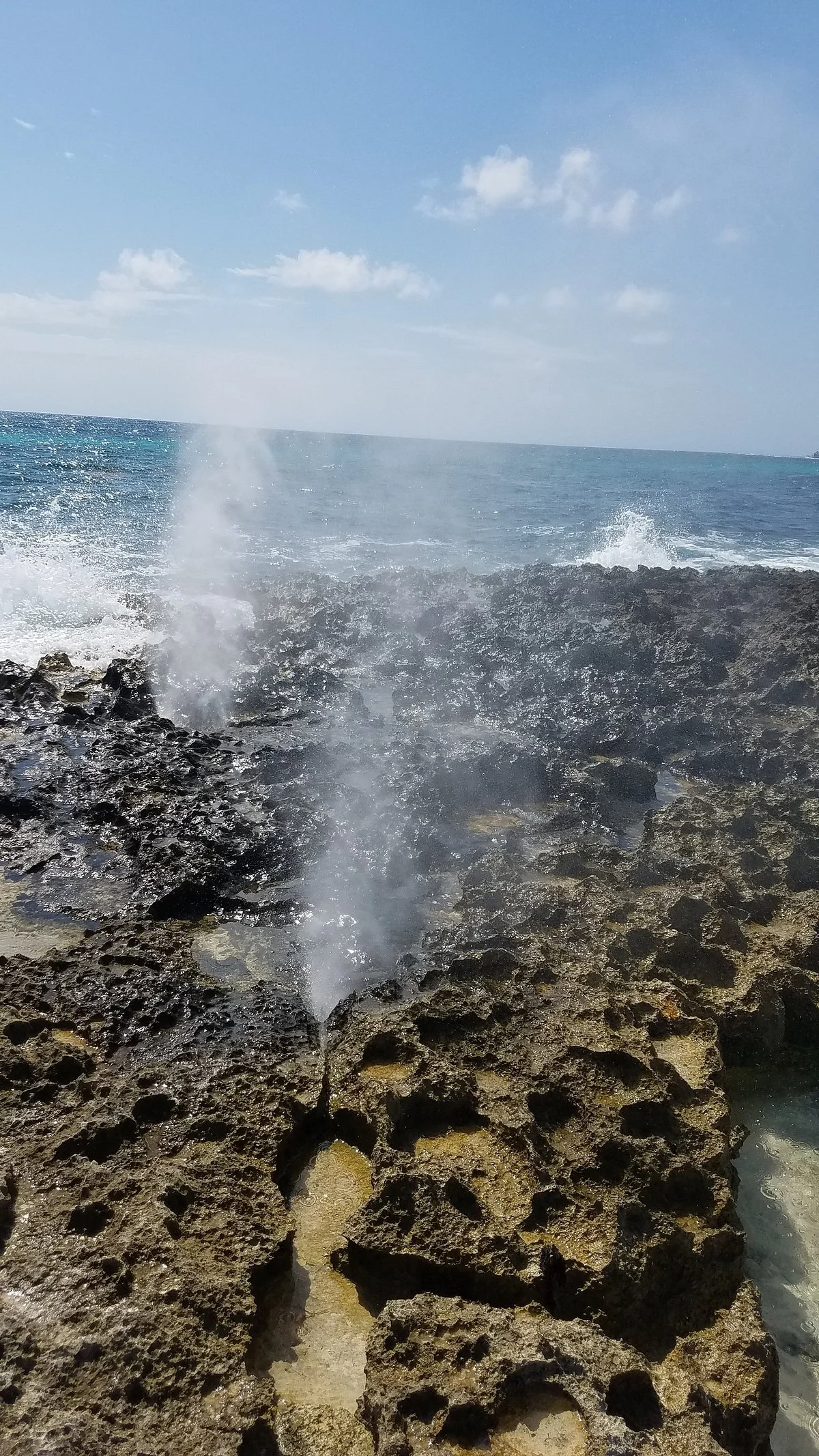 ShoreTrips