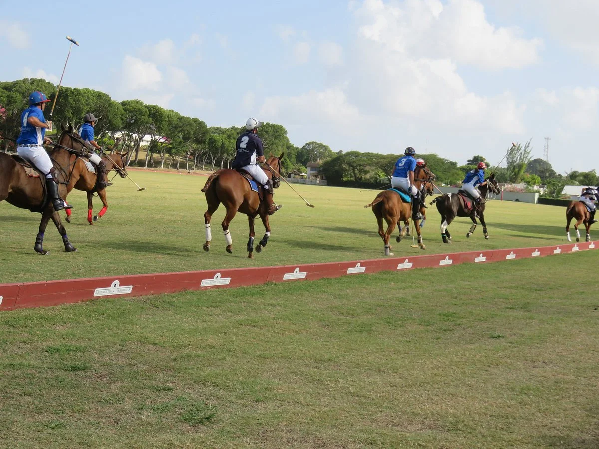 Barbados Polo Club