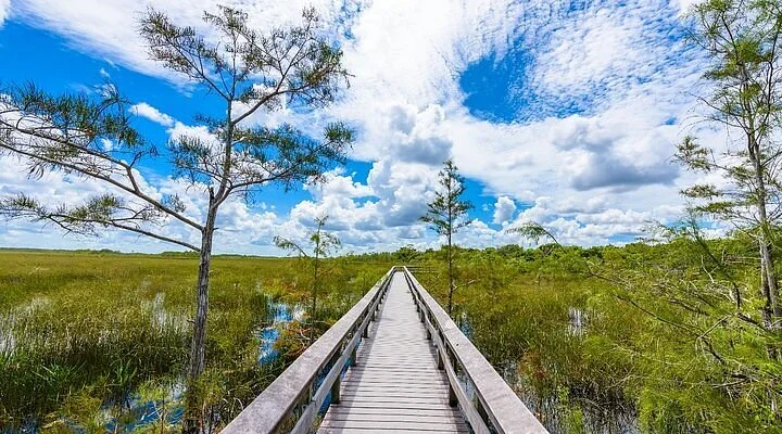 Tropical Everglades Visitor Association