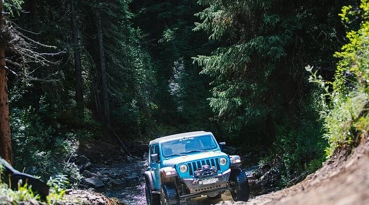 Fancy Pass Trail