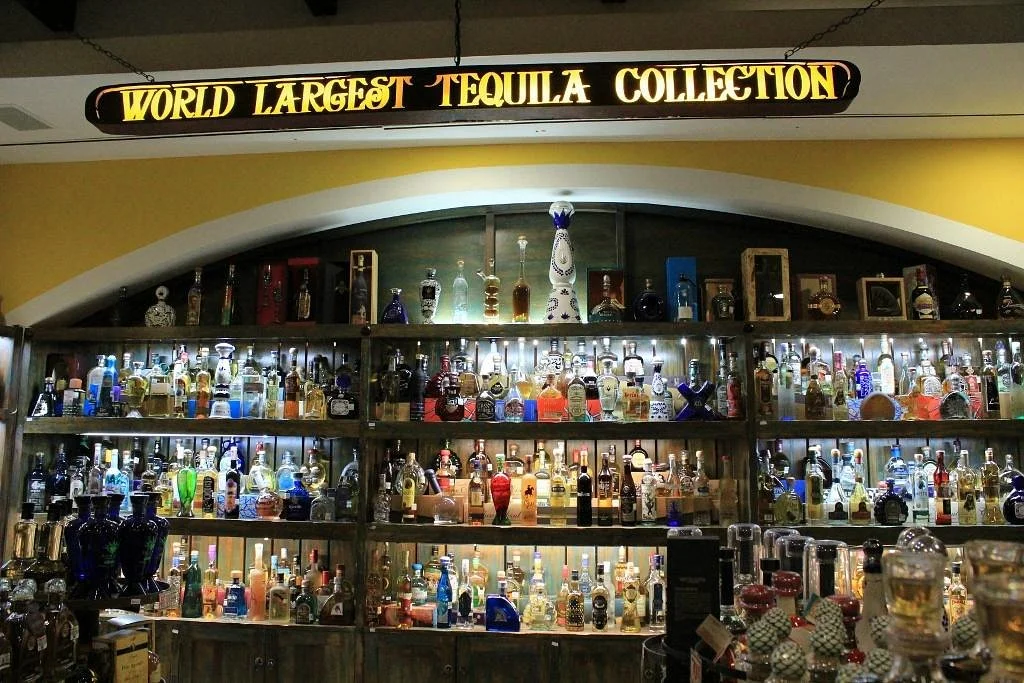 Museo Sensorial del Tequila