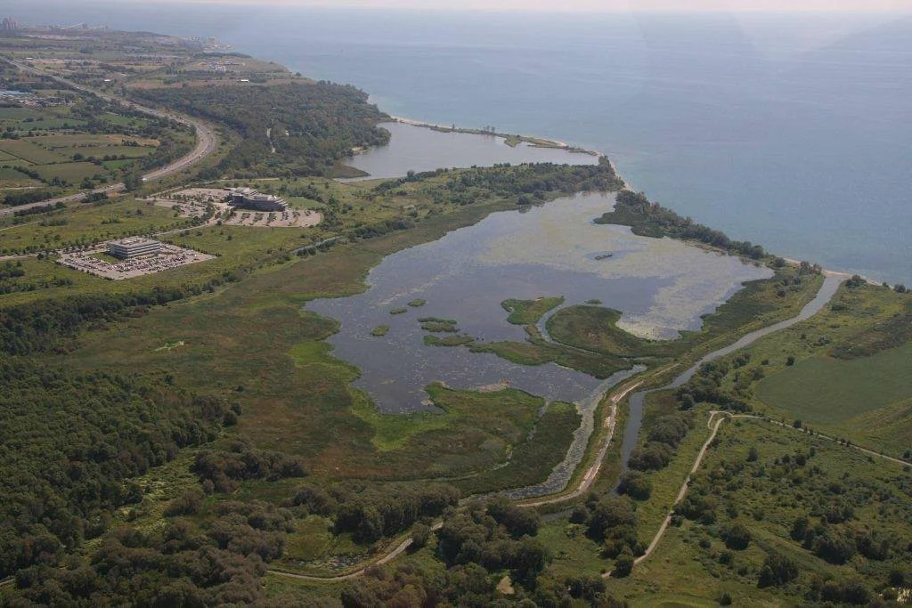 McLaughlin Bay Wildlife Reserve