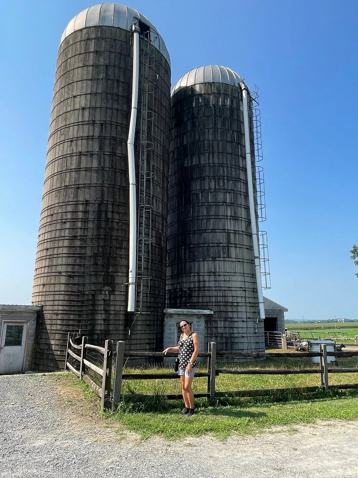 Verdant View Farm