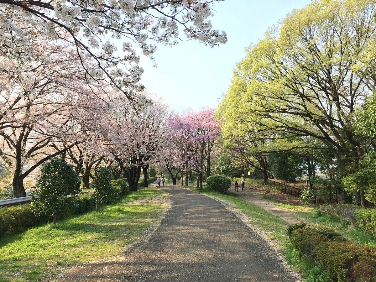 One Street