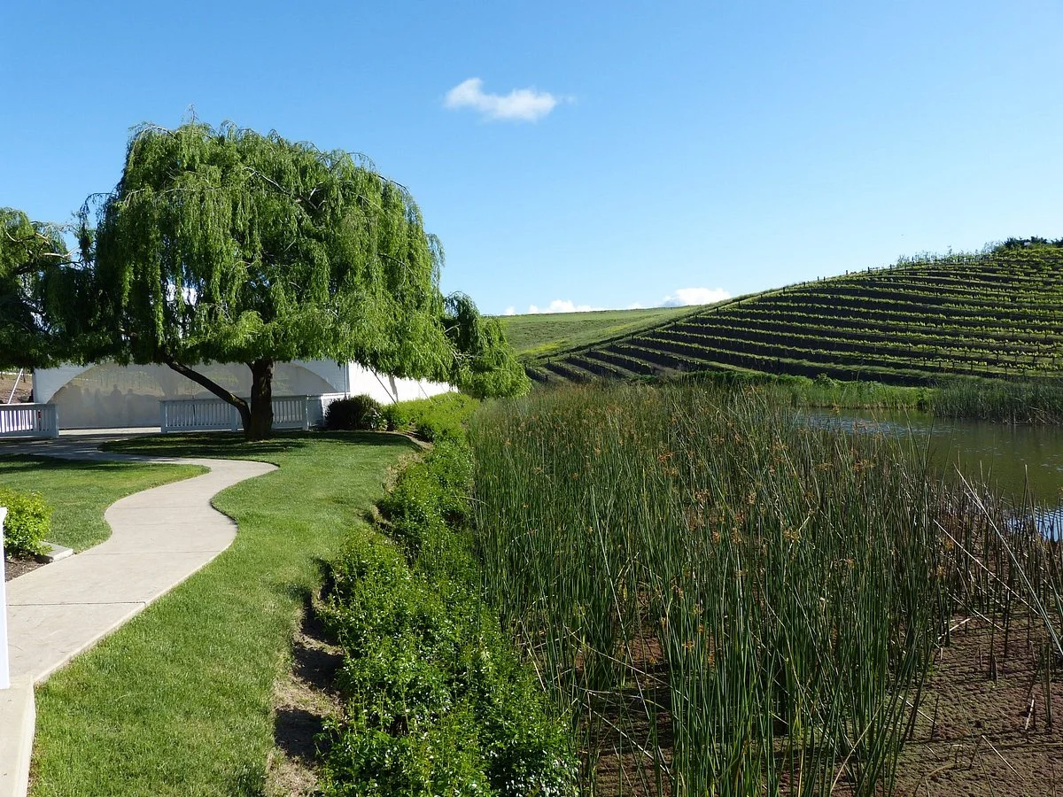 Leal Vineyards