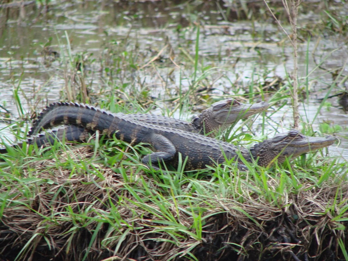 Kissimmee River Basin