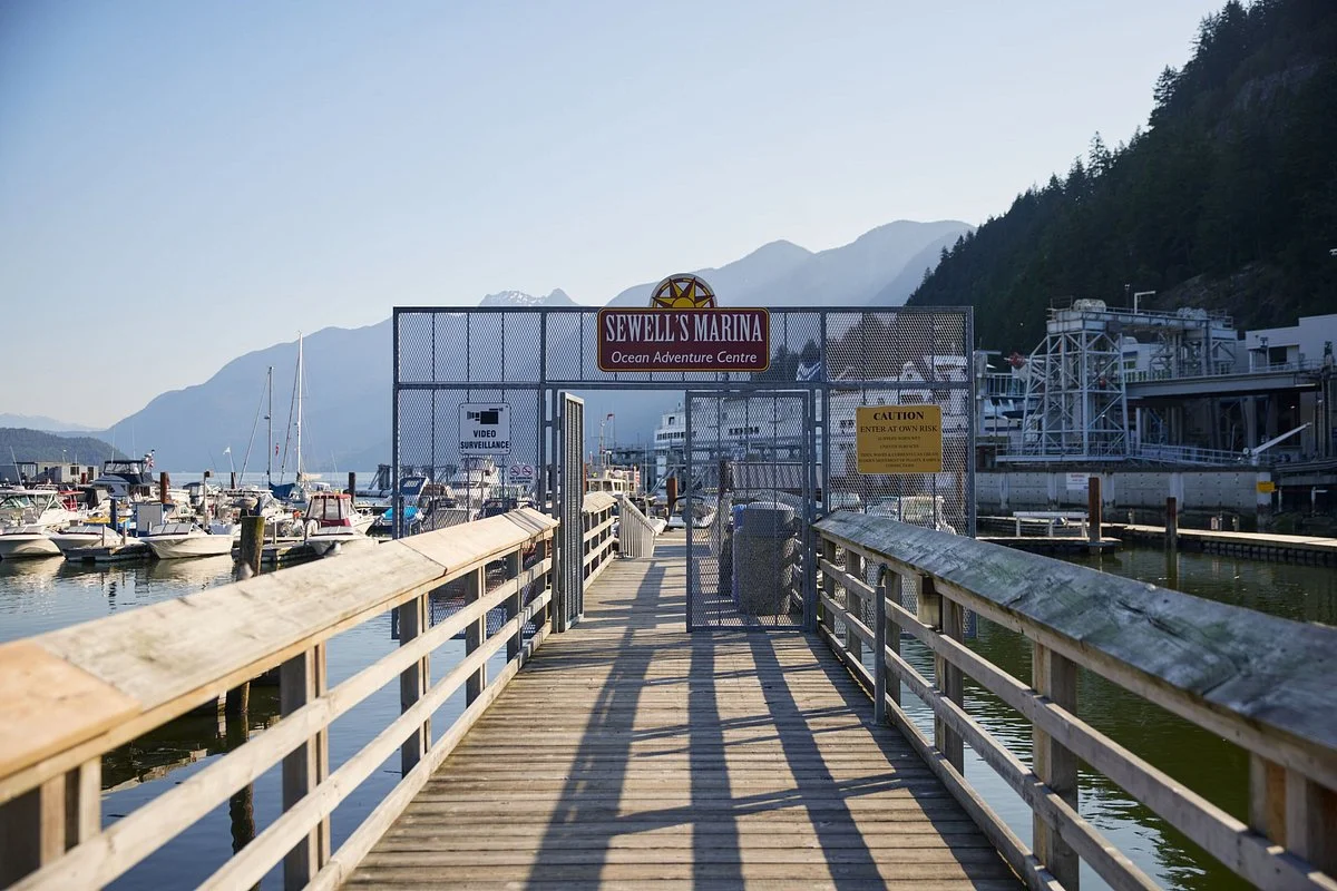 Sewell's Marina