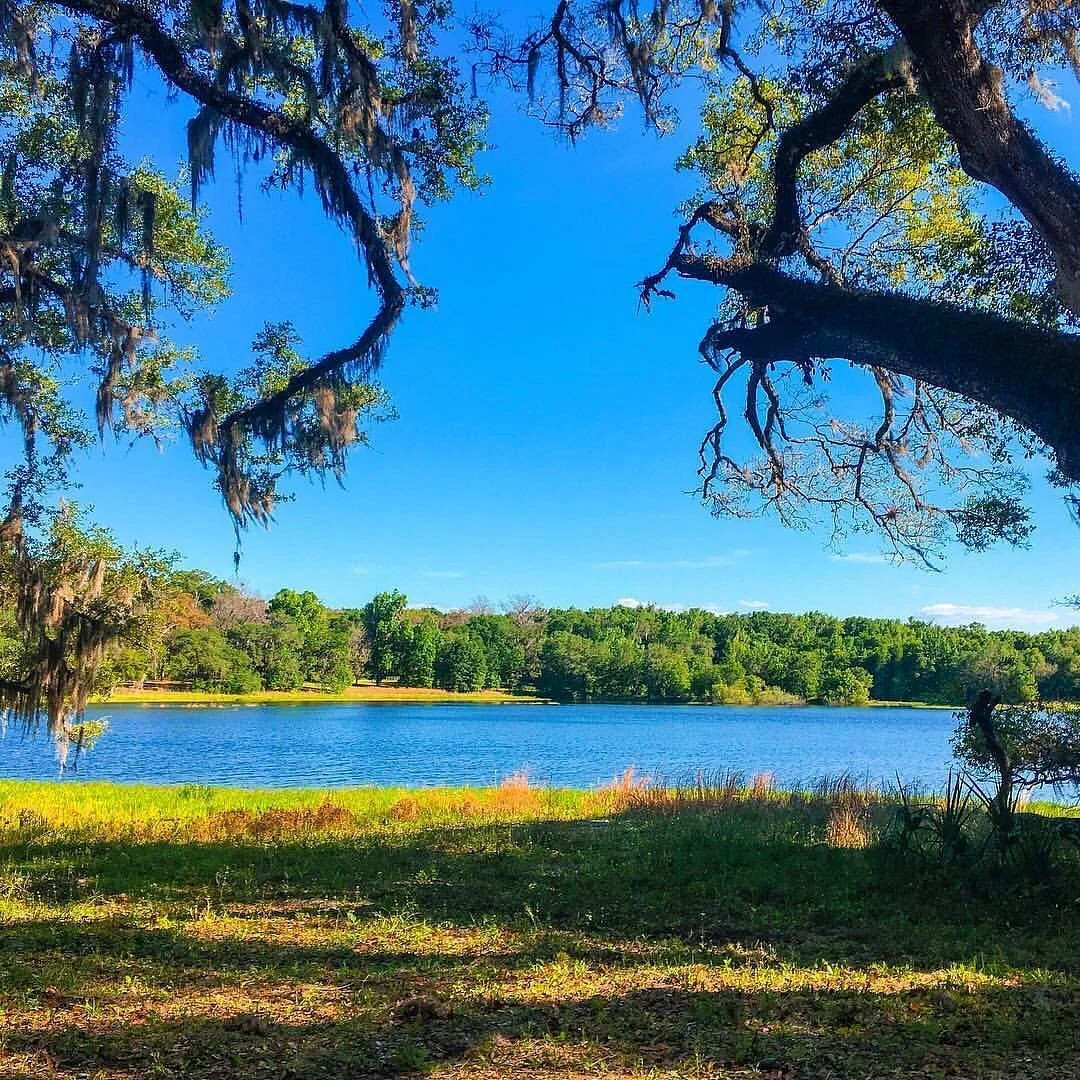 McKethan Lake Nature Trail