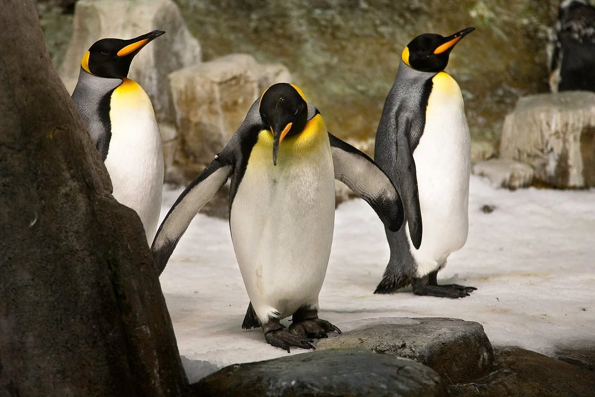 Biodome de Montreal