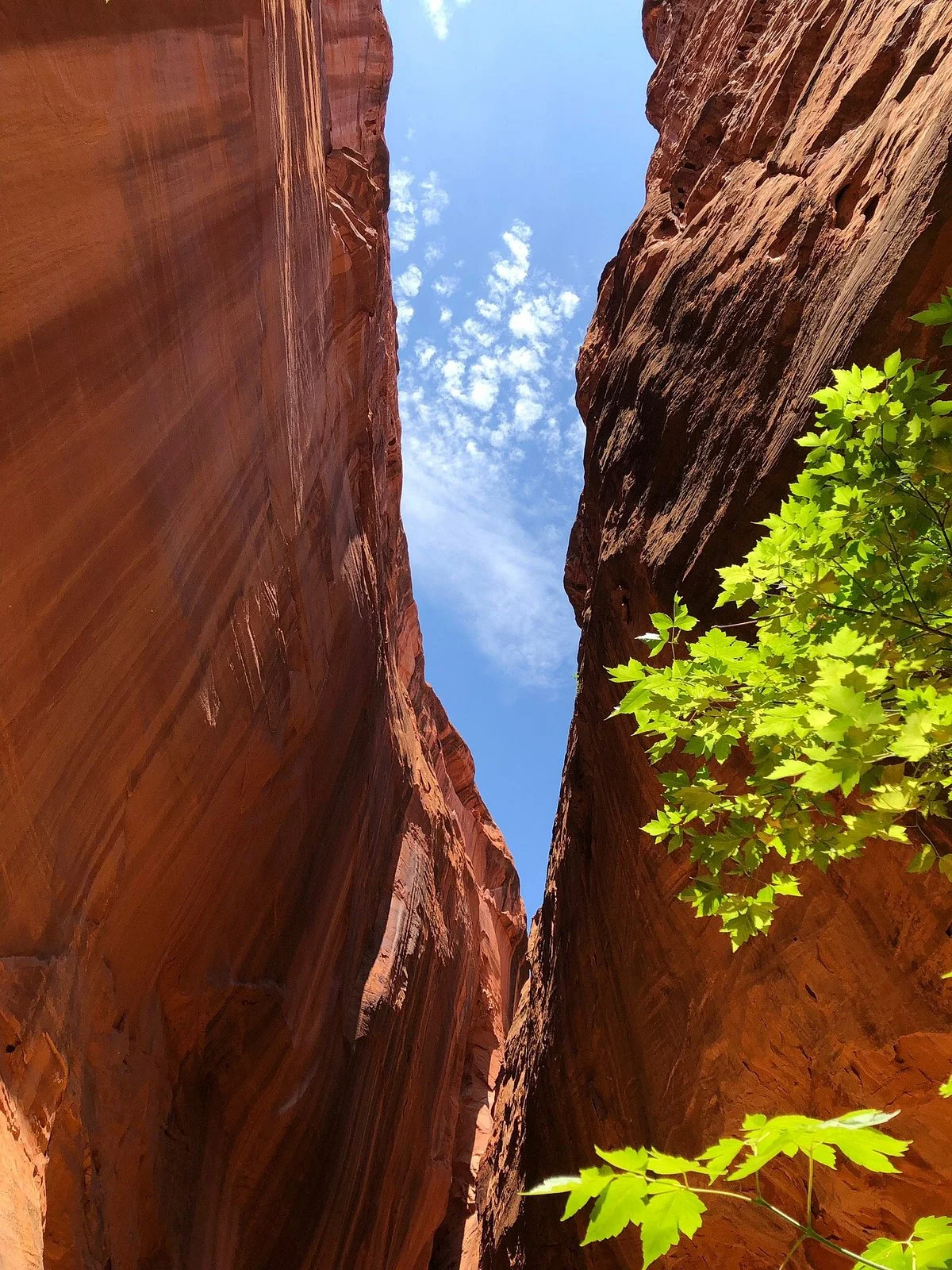 Burr Trail