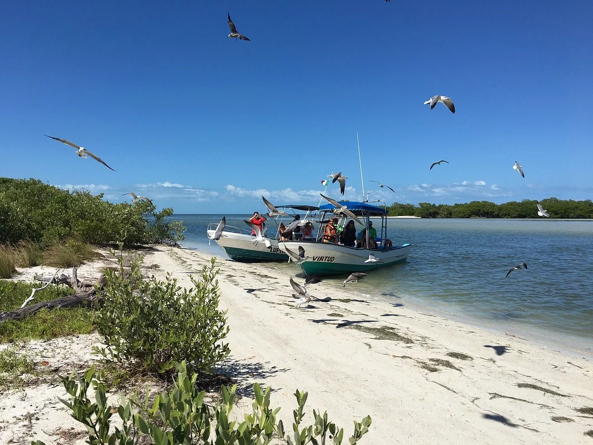 Isla Pajaros