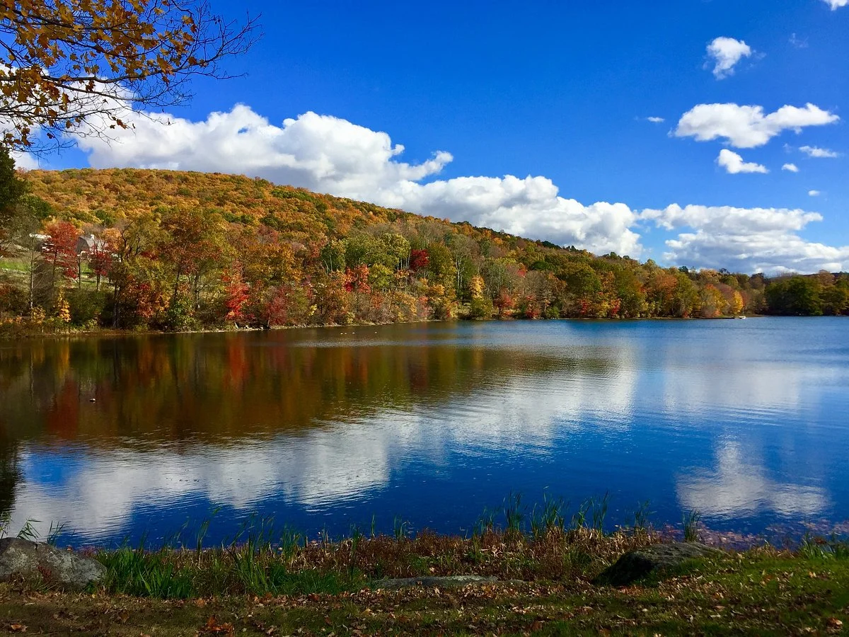 Hopkins Vineyard