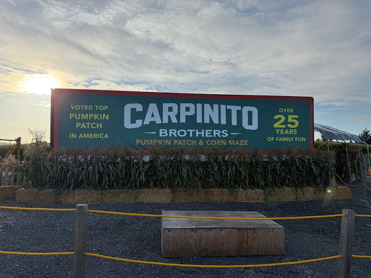 Carpinitos Pumpkin Patch
