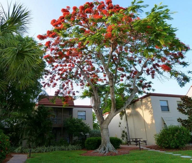 Sanibel Moorings Botanical Garden Tours