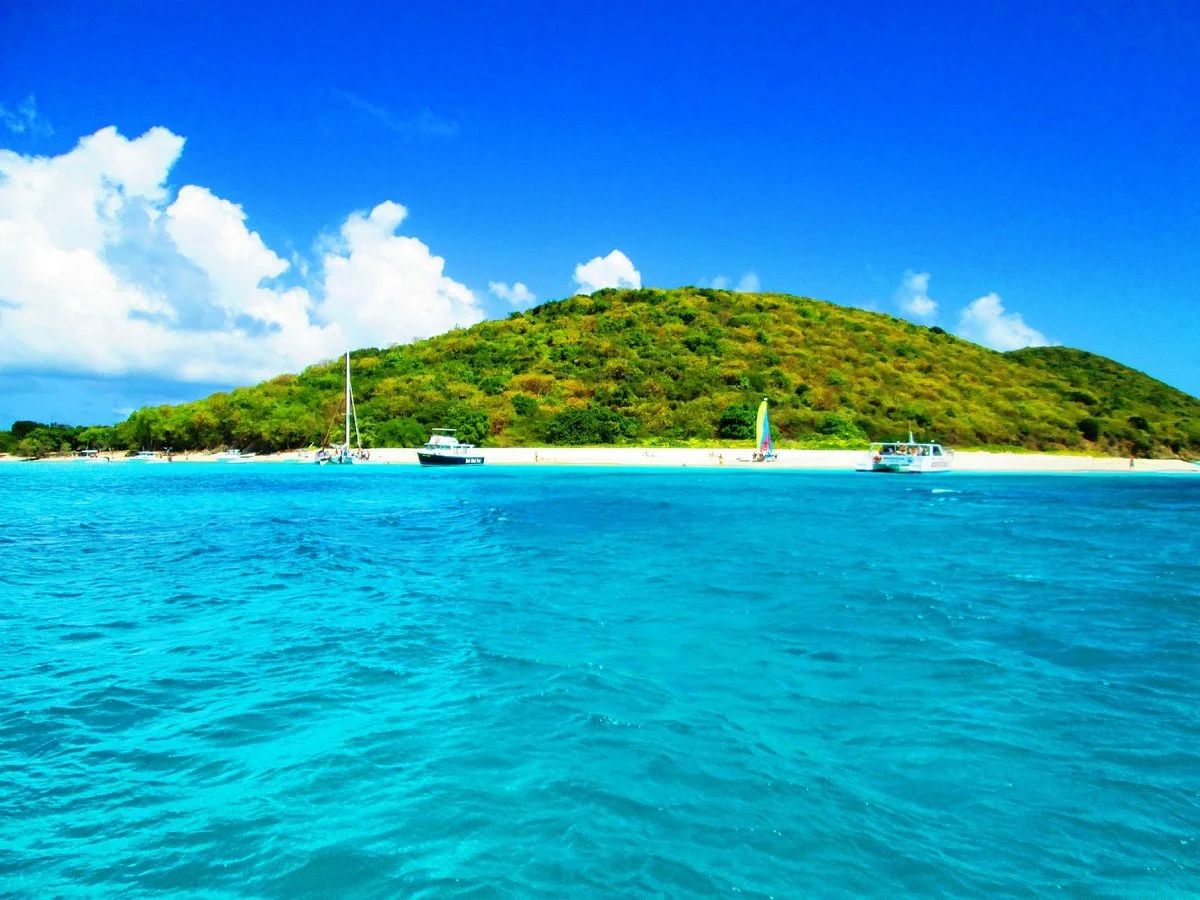 Buck Island Cove
