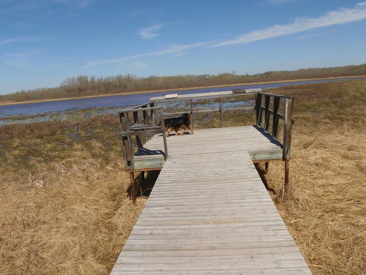 Clifford E. Lee Nature Sanctuary