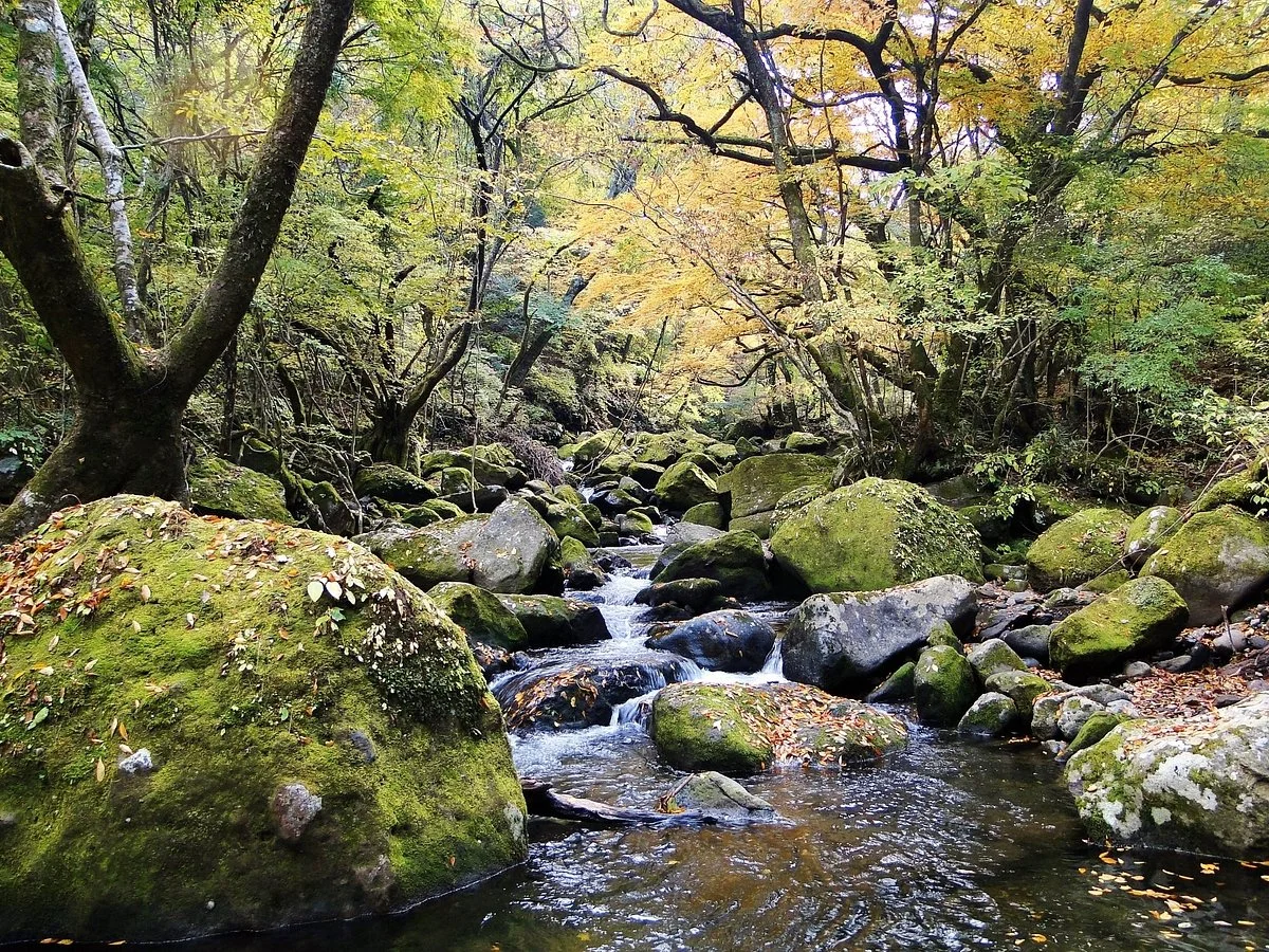 Mazeno Valley