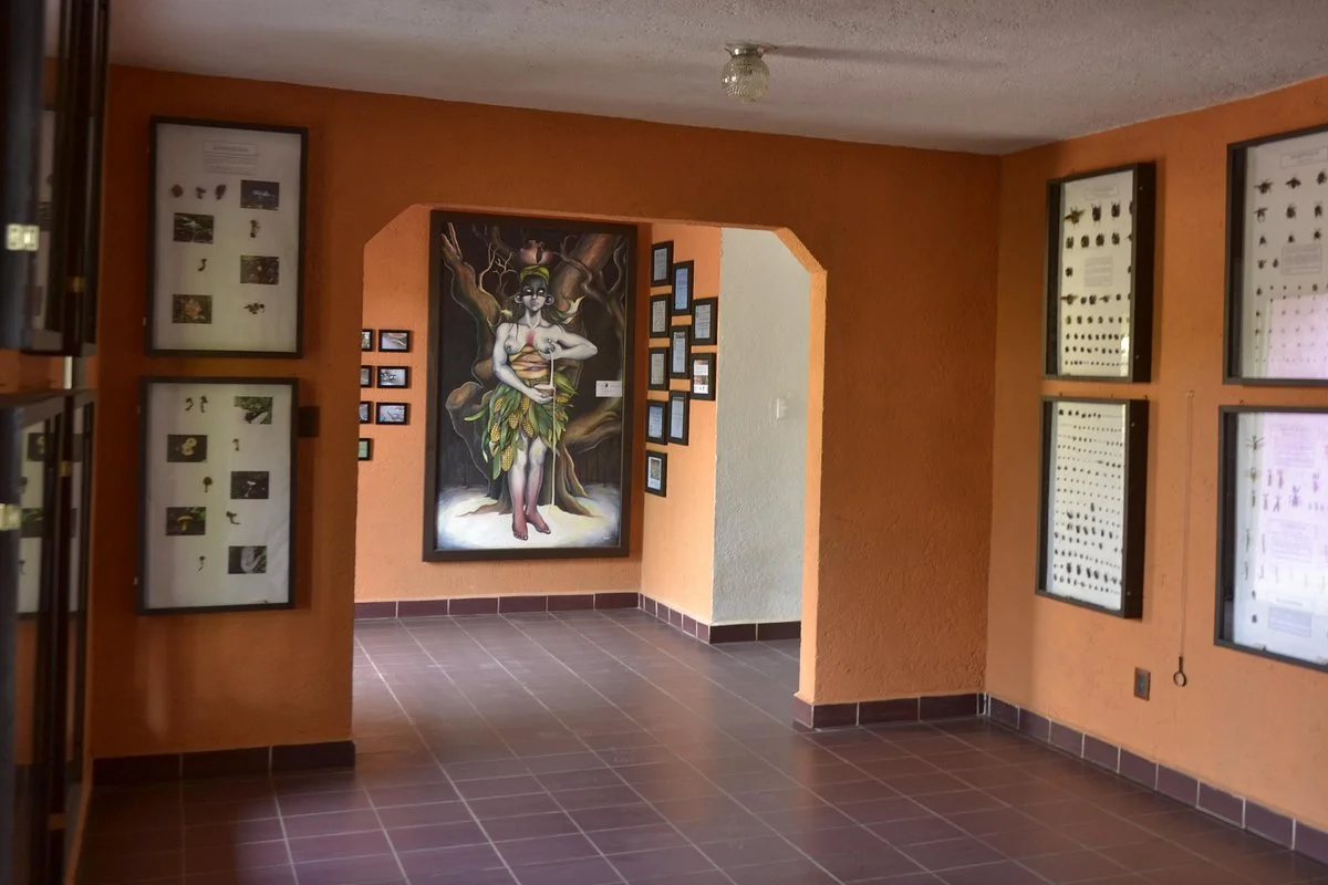 Museo Vivo