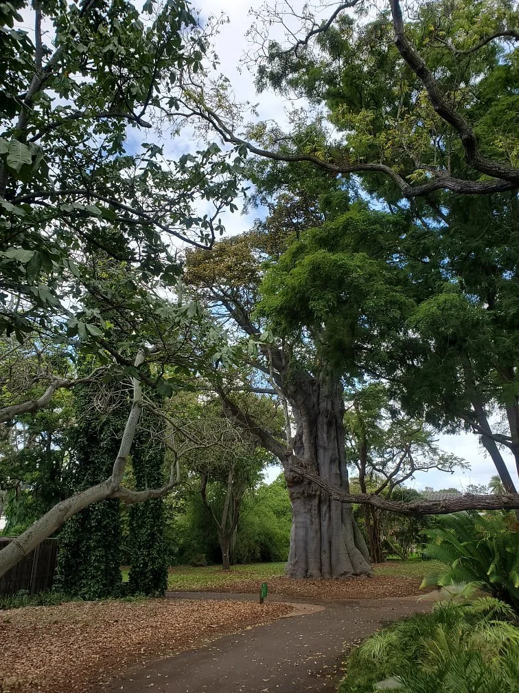 Foster Botanical Gardens