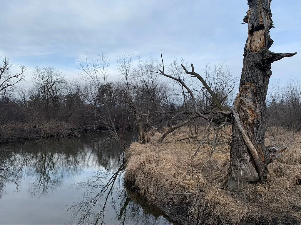 Salt Creek Park Forest Preserve