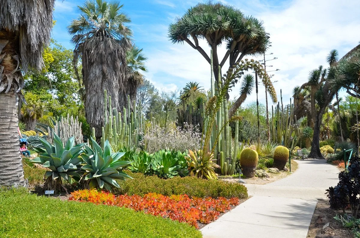 The Huntington Desert Garden