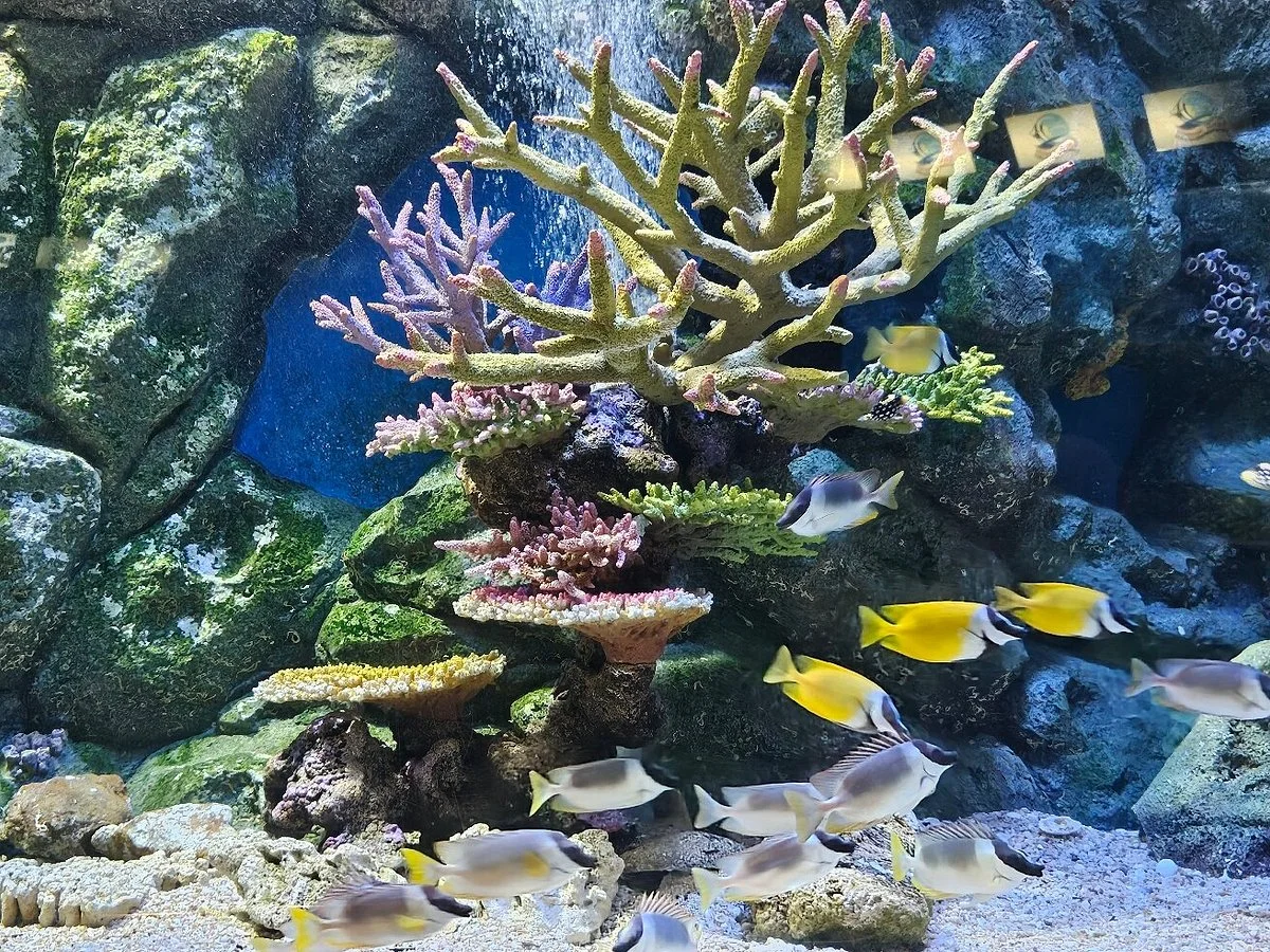 Rayong Aquarium