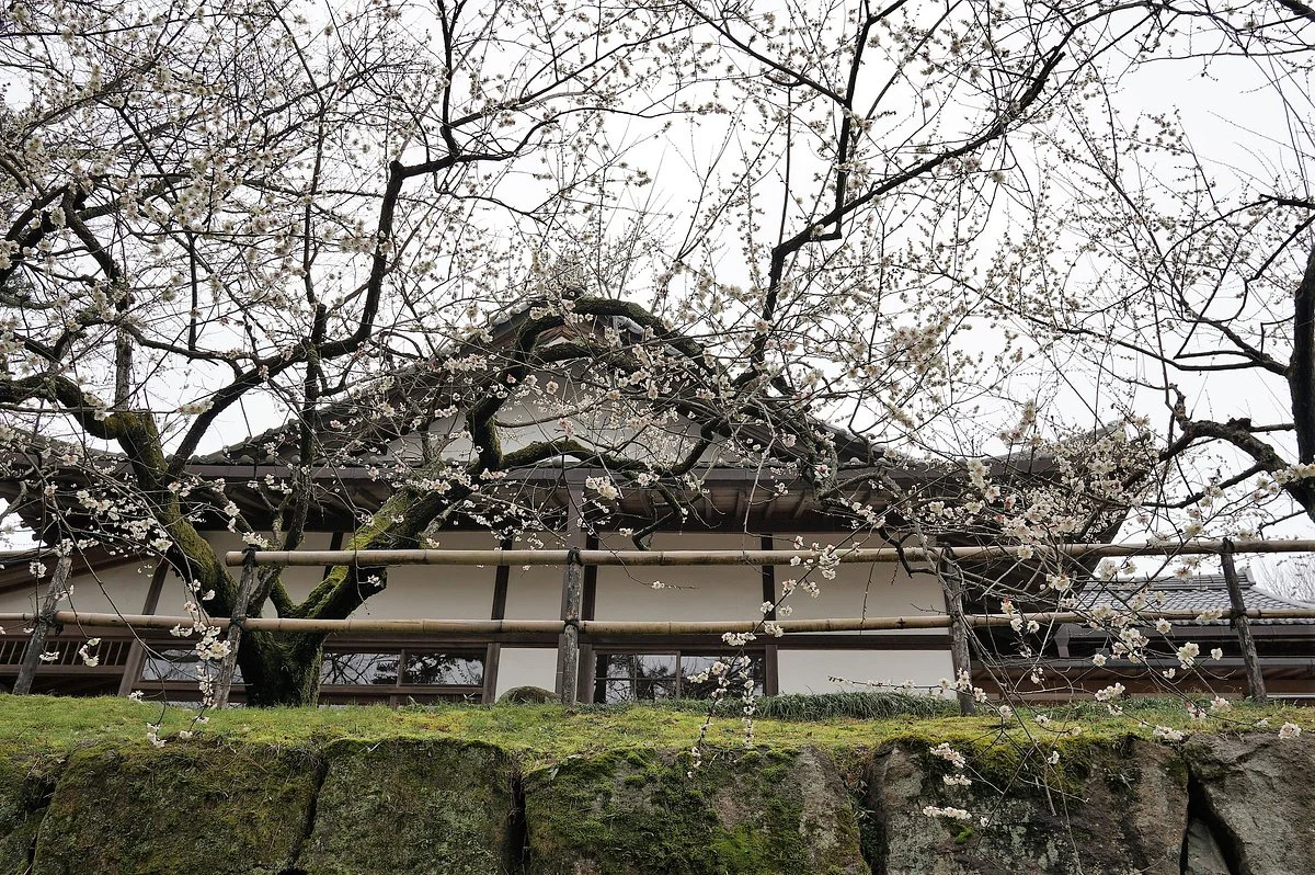Kameyama Castle Remains