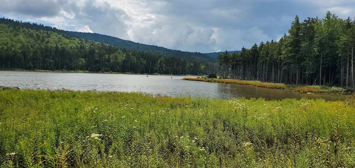 Shavers Lake Trail