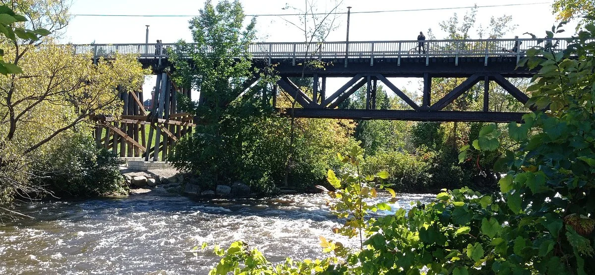 The Fishway