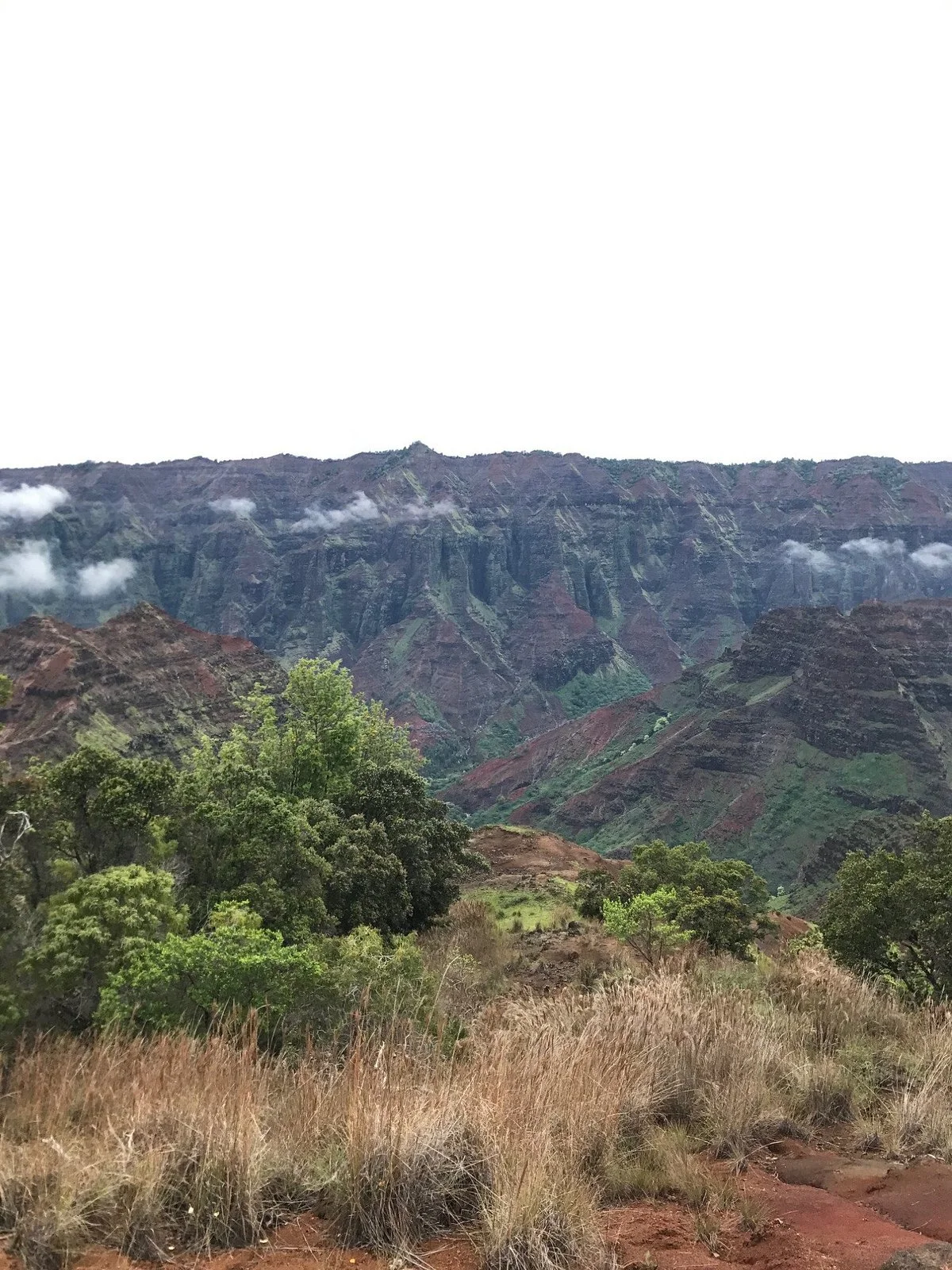 Kohua Ridge Trail