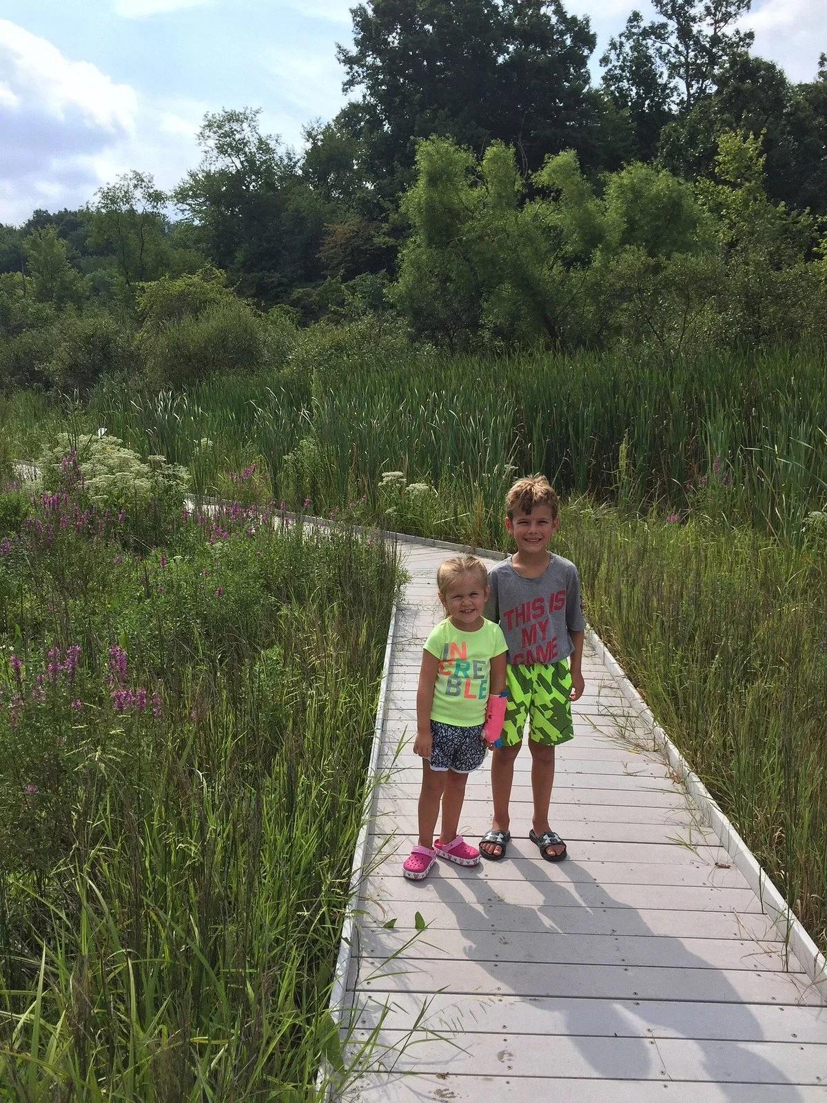 Jackson Bog State Nature Preserve