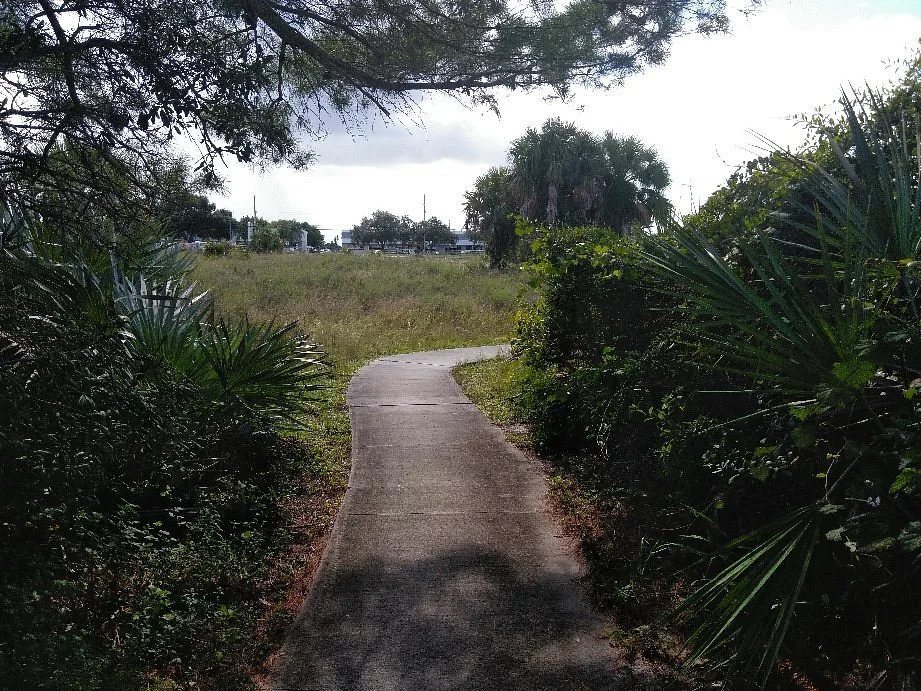 Highlands Scrub Natural Area