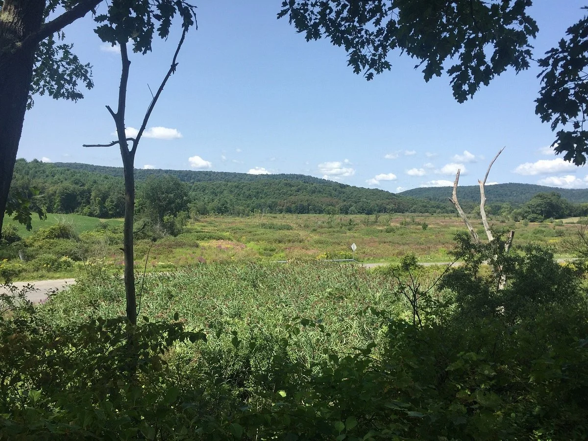 Harlem Valley Rail Trail