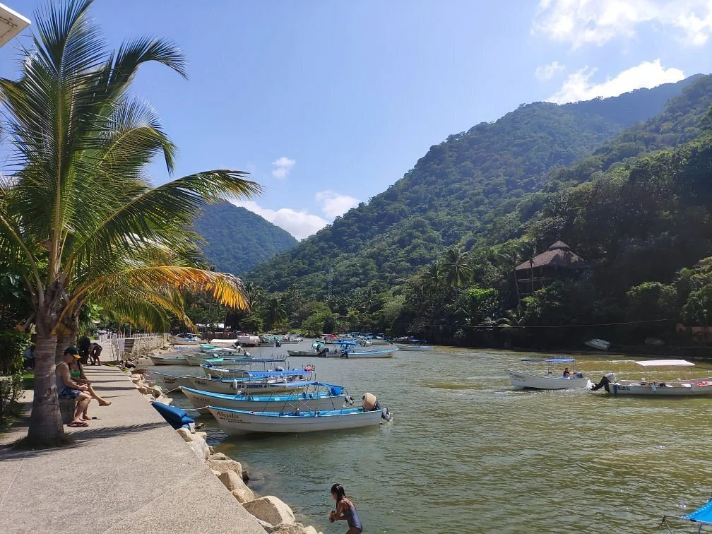 Boca de Tomatlan Beach