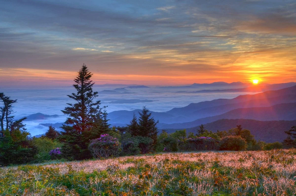 Murphy Visitor Center