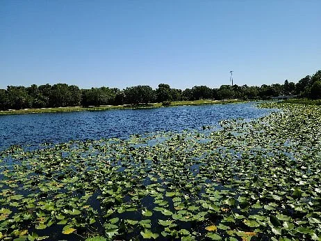 Walsingham Park