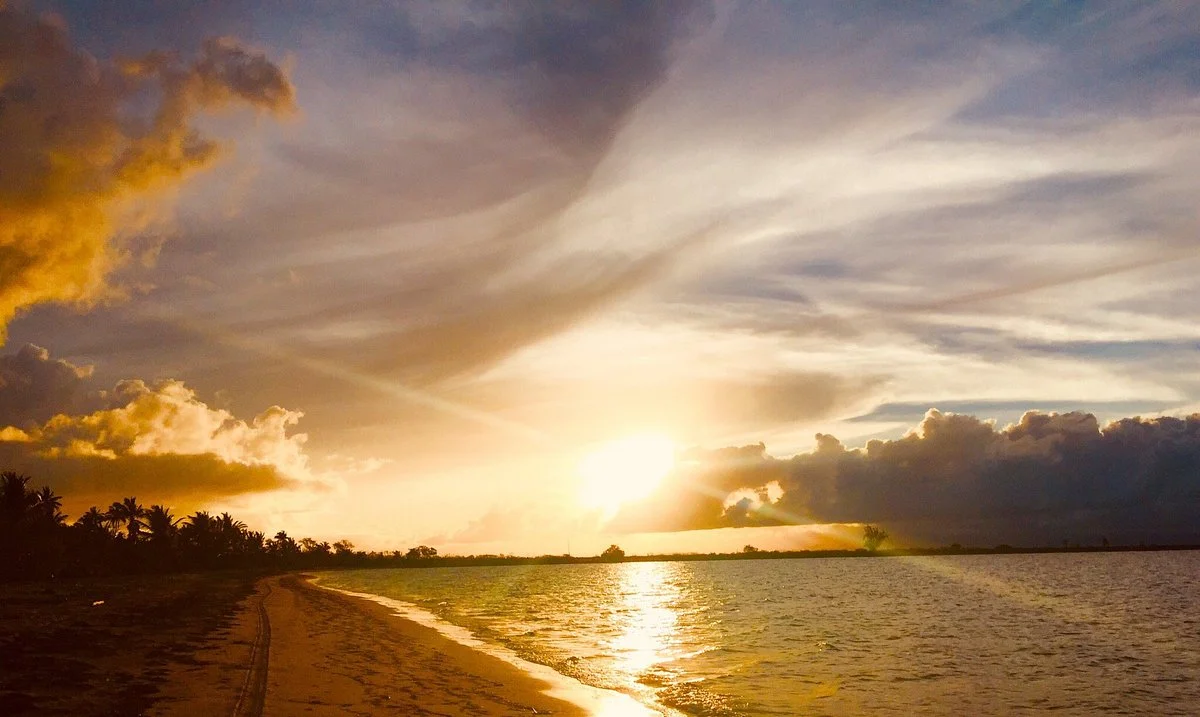 La Gran Ceiba de Vieques