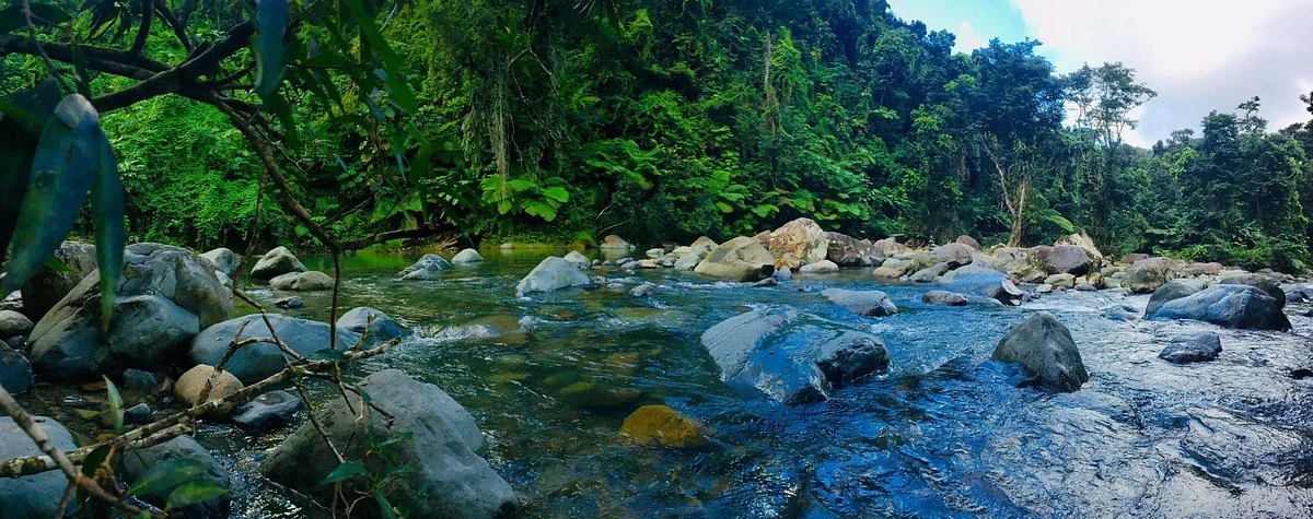Angelito Trail