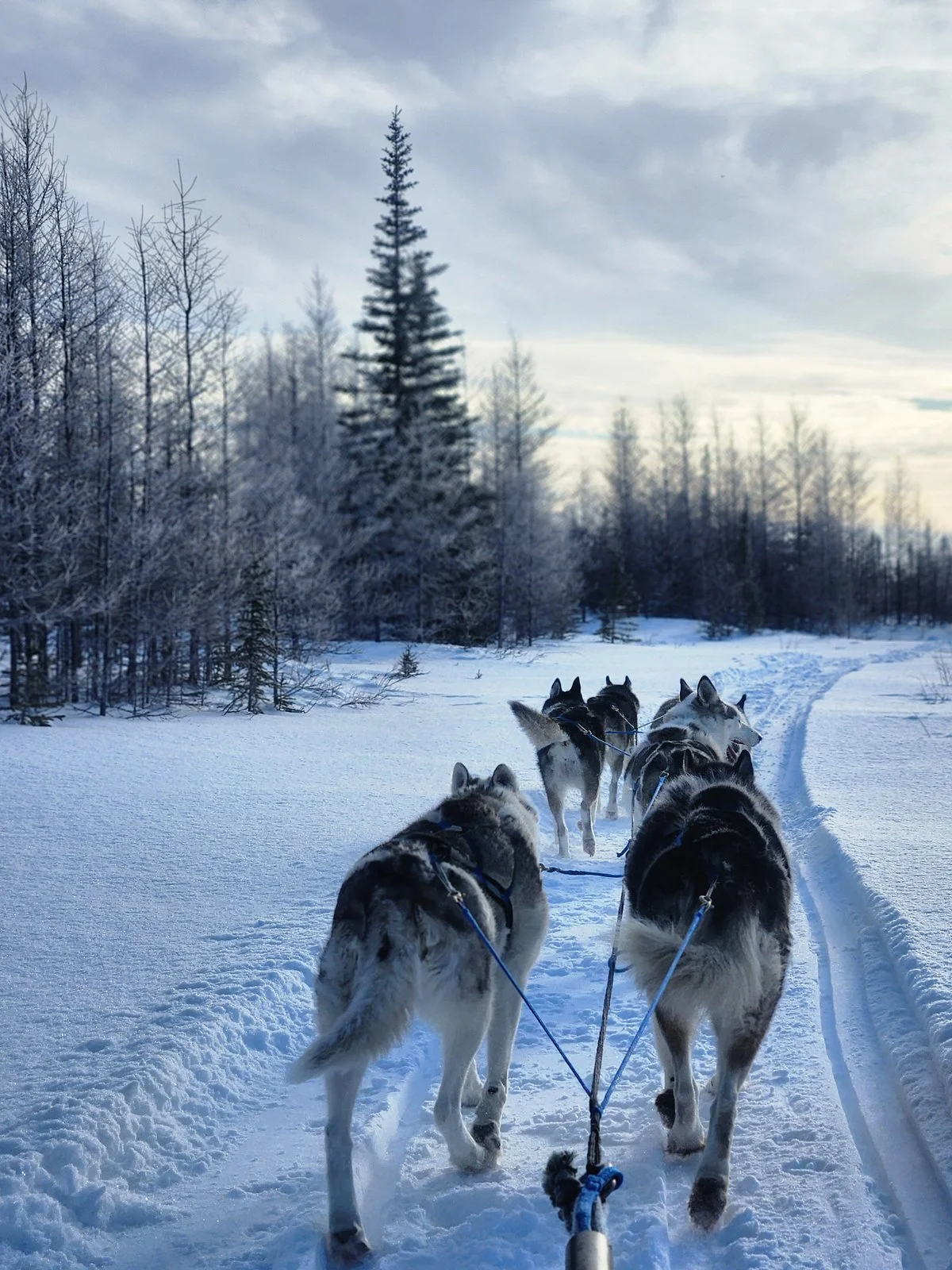 Blue Sky Expeditions