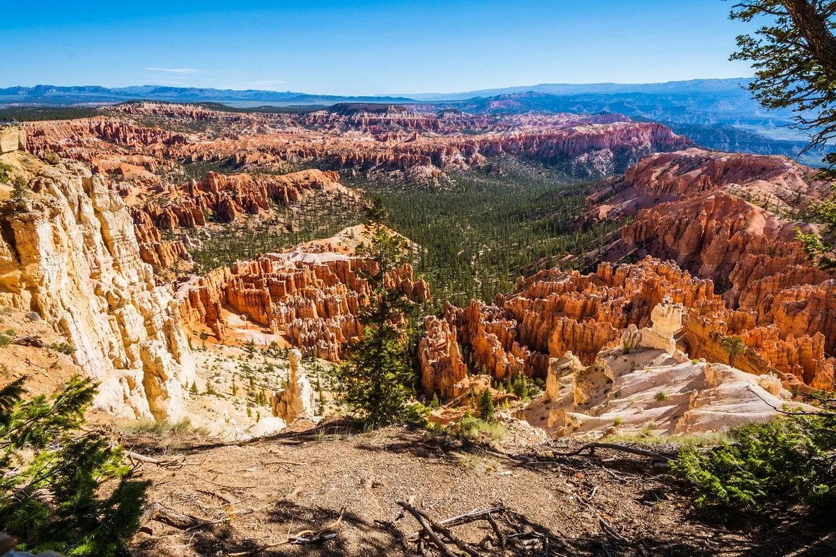 Bryce Point