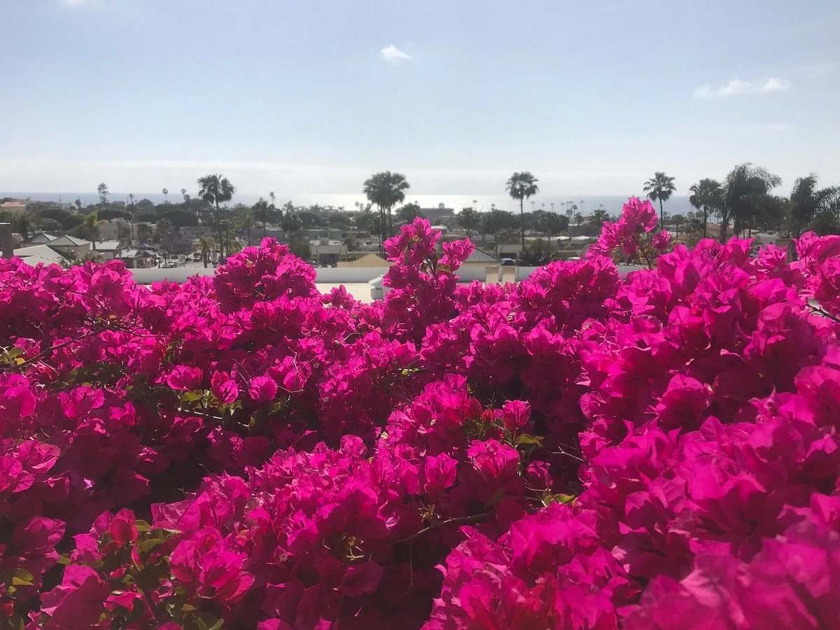 Encinitas Library