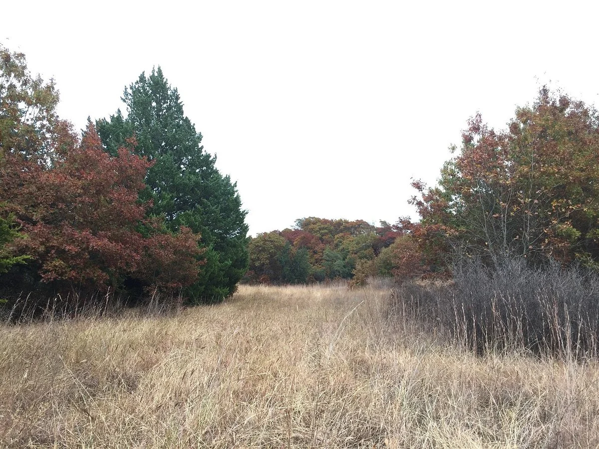 LBJ National Grasslands