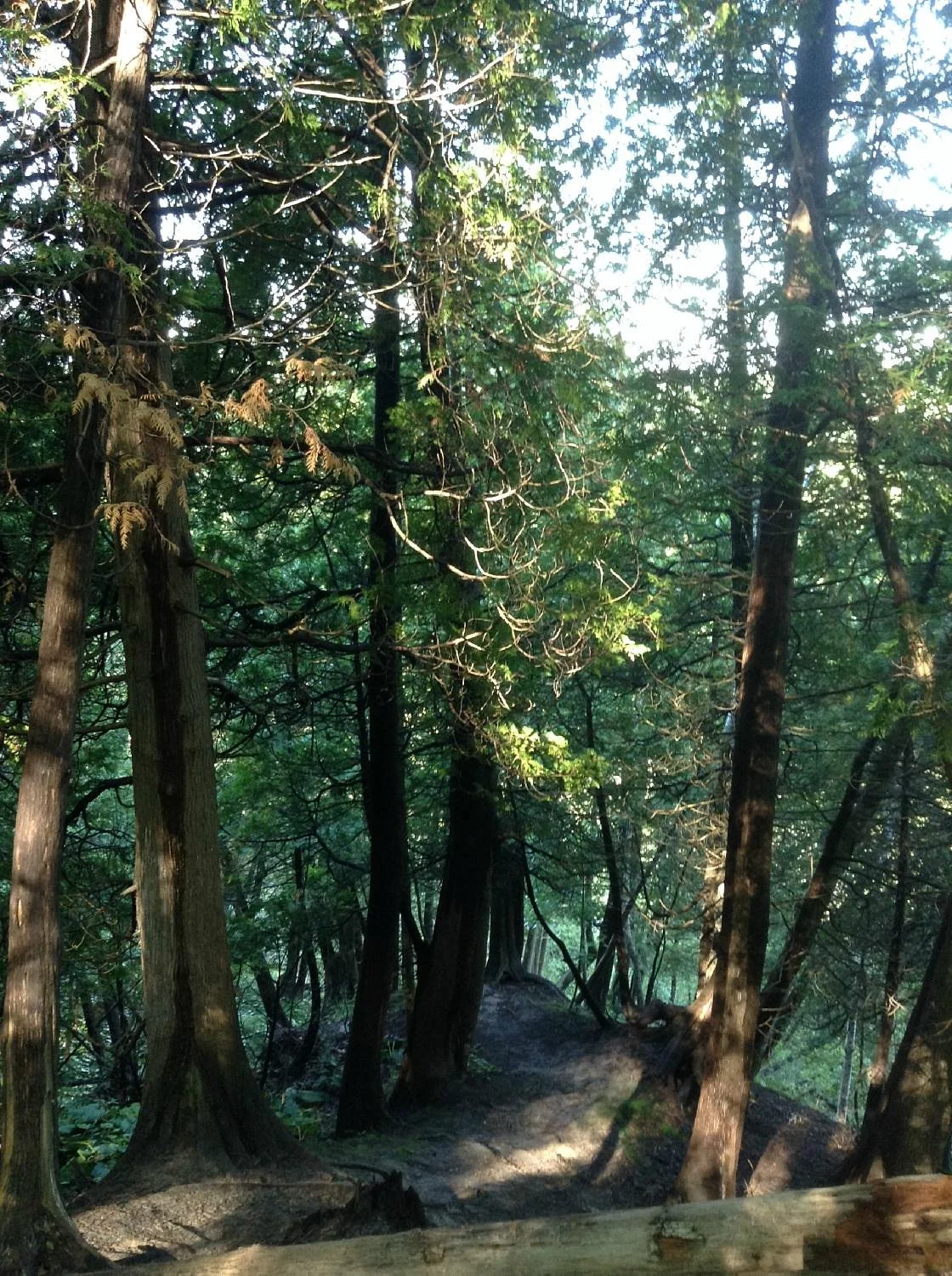 Komoka Provincial Park