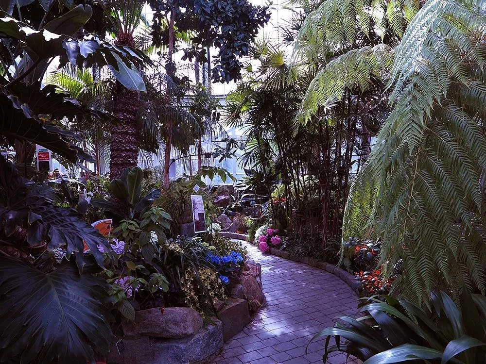 W.W. Seymour Botanical Conservatory