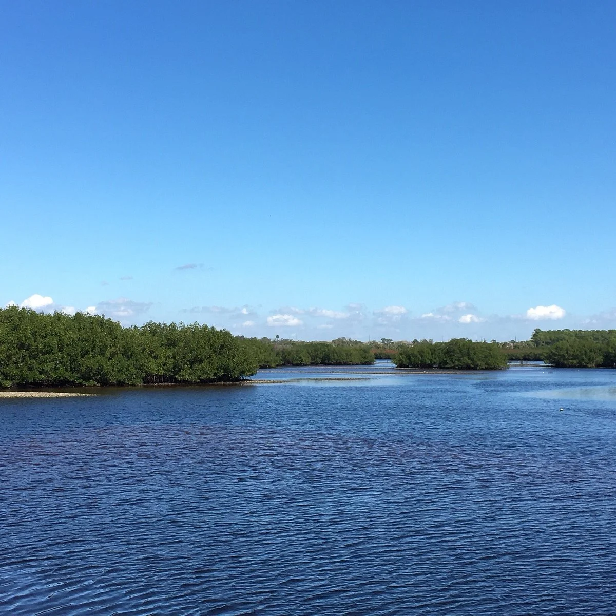 Upper Tampa Bay Park