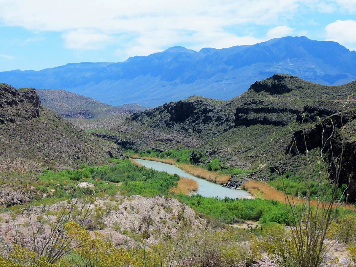 El Camino Del Rio