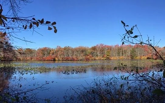 Mill Pond Park
