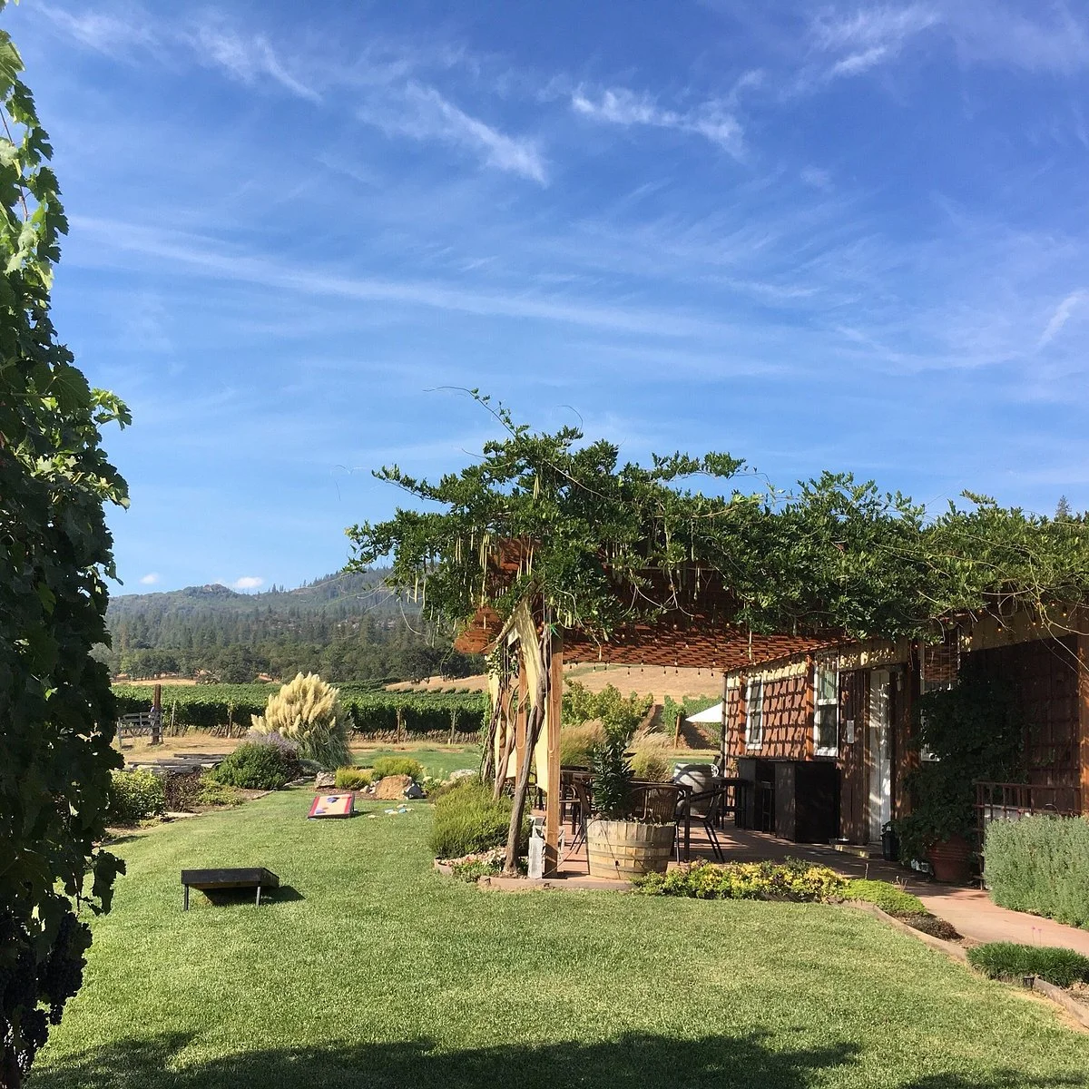 Cliff Creek Cellars at the Vineyard