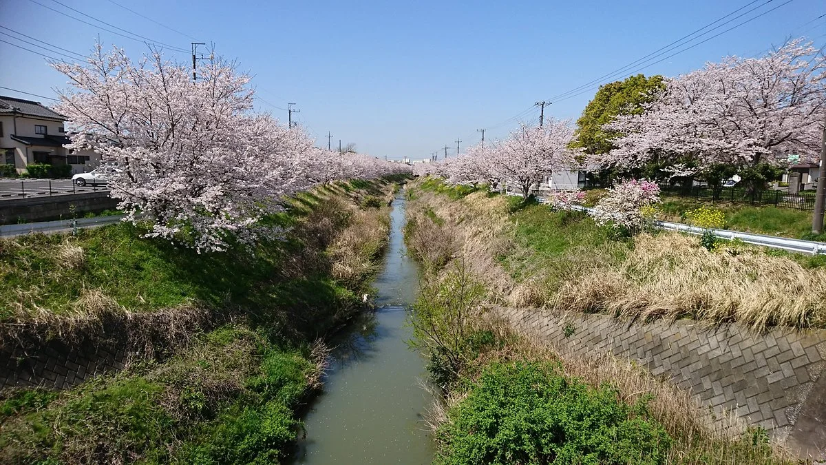 Yanagawa Park